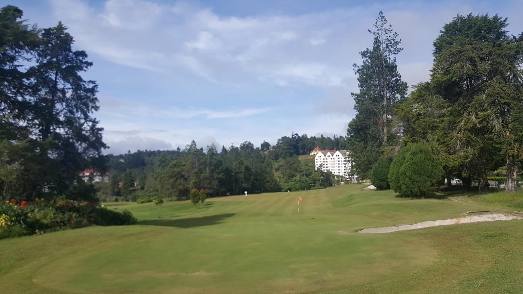 Cameron Forest Home - Golden Hills