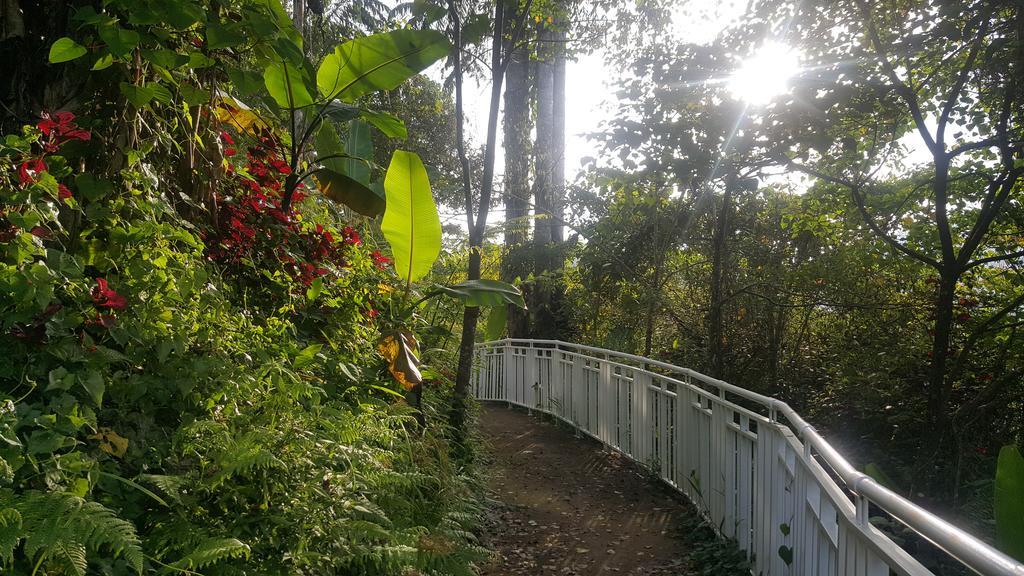 Apartment Cameron Forest Home - Golden Hills